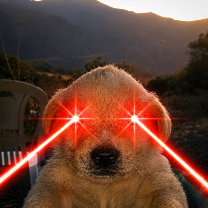 A fluffy puppy with digitally added glowing red laser eyes stares intensely into the camera, set against a sunset mountain backdrop. The image humorously illustrates the "$jotchua" pump announced in the post, using the "laser eyes" meme—a common crypto signal for an imminent breakout—to playfully hype the token's upward momentum.

**Key elements visible:** No text, numbers, or ticker symbols are rendered in the image itself; the only references to "$jotchua" come from the accompanying post.

**Relationship to post:** The laser-eyed puppy visually embodies the "bounces today" claim, serving as a viral-style hype graphic typical of meme coin communities.