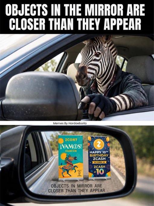 A two-panel meme: a zebra-headed driver appears in a car, then a rear-view mirror shows a casino advertisement, with the caption “OBJECTS IN THE MIRROR ARE CLOSER THAN THEY APPEAR.”
