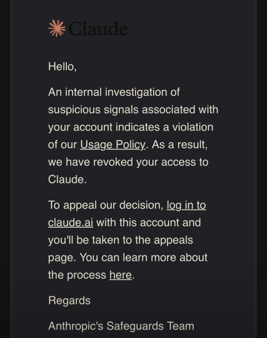 A message from Claude stating that an internal investigation found suspicious signals indicating a violation of their Usage Policy, resulting in revoked access to the AI service, signed by Anthropic's Safeguards Team.