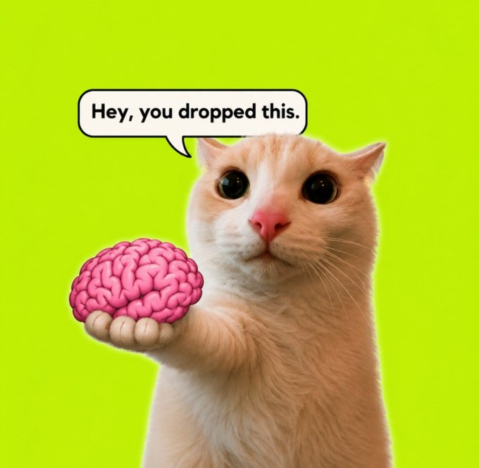 A meme of a wide-eyed cat holding a pink brain with a speech bubble saying 'Hey, you dropped this.' against a green background.