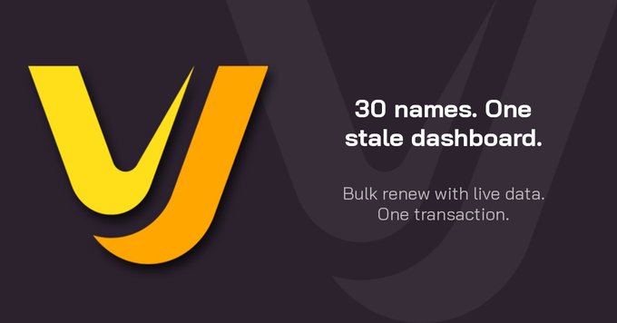 A promotional graphic with a yellow stylized 'V' logo and the text '30 names. One stale dashboard. Bulk renew with live data. One transaction.'
