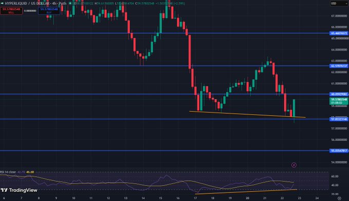 A TradingView chart of HYPERLIQUID/USD displaying a 4-hour candlestick view where the price recently broke above a descending trendline near the $59.27 support level, currently trading around $10.53—the $800 target reflects a highly bullish long-term projection from this reversal point.