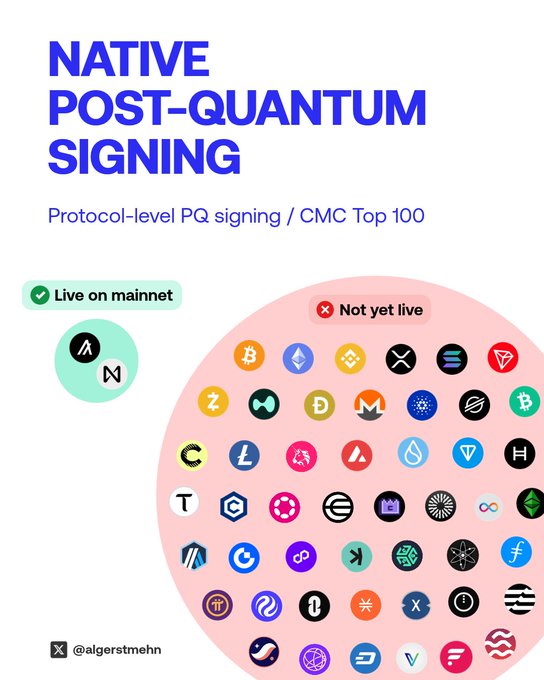 An infographic titled 'NATIVE POST-QUANTUM SIGNING' highlighting that Algorand and NEAR are live on mainnet with protocol-level PQ signing, while the rest of the CMC Top 100 cryptocurrencies are not yet live.