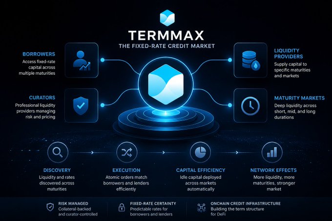 TermMax infographic describing 'The Fixed-Rate Credit Market' with sections for Borrowers, Liquidity Providers, Curators, and Maturity Markets, plus Discovery, Execution, Capital Efficiency, and Network Effects.