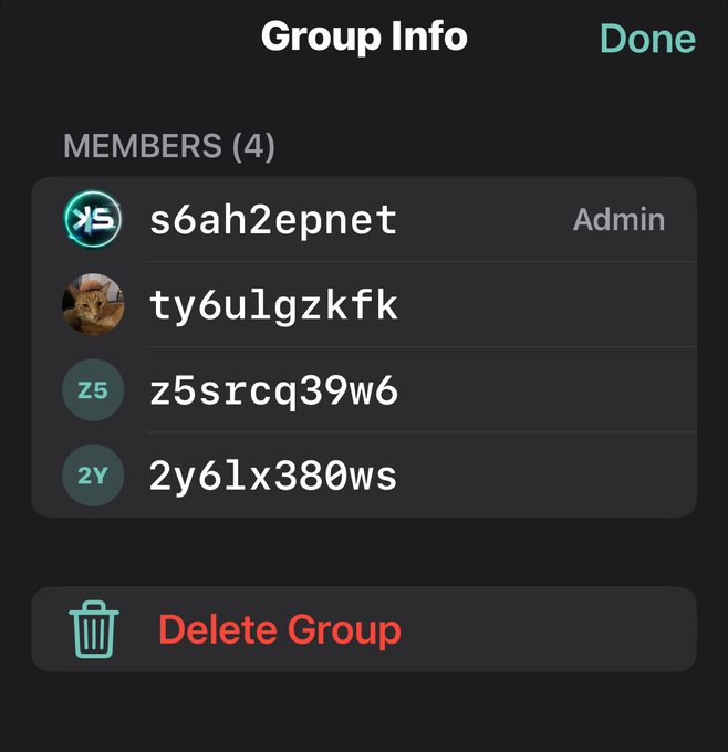 A dark-themed 'Group Info' screen shows four members with alphanumeric usernames (s6ah2epnet as Admin, ty6ulgzkfk, z5srcq39w6, and 2y6lx380ws) and a red 'Delete Group' button.