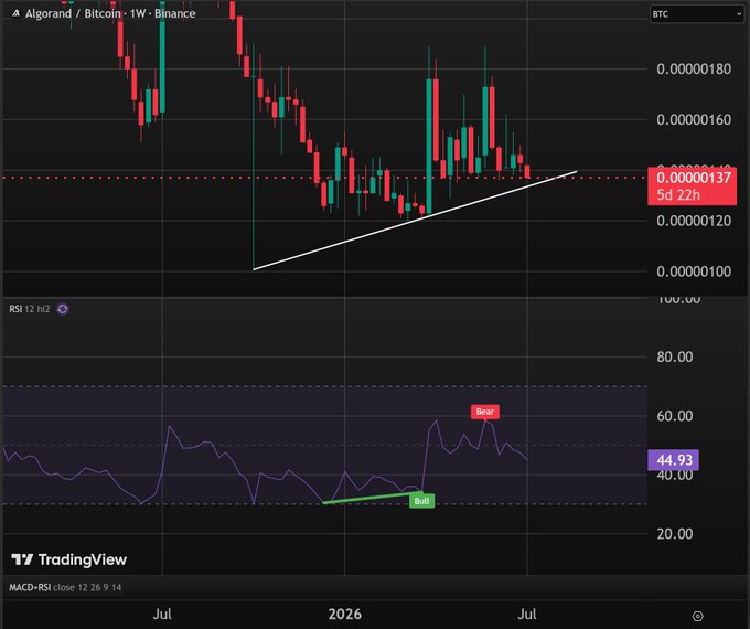 TradingView weekly chart of Algorand/Bitcoin (ALGO/BTC) showing an ascending triangle pattern with an RSI reading of 44.93 marked with 'Bear' and 'Bull' divergence labels.