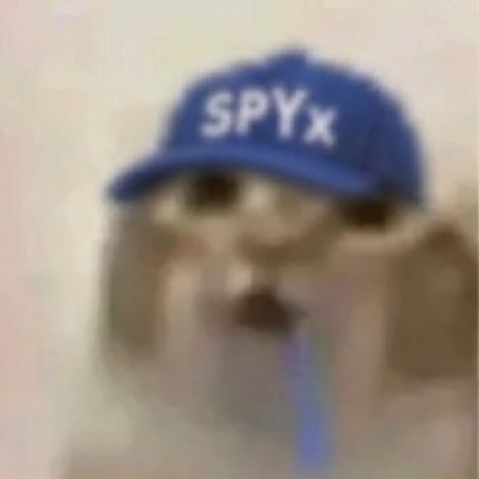 A blurry image shows a small white dog wearing a blue baseball cap with the text 'SPYxFAMILY' printed on it.