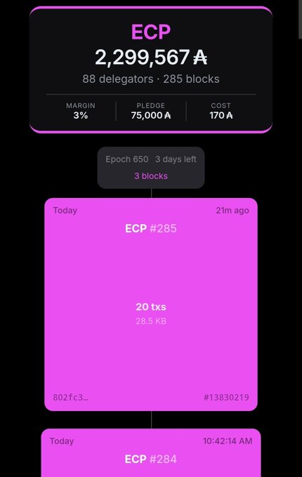 A dark-mode cryptocurrency staking dashboard shows an 'ECP' validator with 2,299,567 A staked, 88 delegators, 285 blocks, a 3% margin, and recent blocks '#285' and '#284' highlighted in pink.