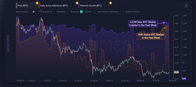 A dark-themed crypto analytics chart displays Bitcoin (BTC) price alongside metrics for 'Daily Active Addresses' and 'Network Growth,' with callouts noting '2.27M New BTC Wallets Created in the Past Week' and '785K Active BTC Wallets in the Past Week.'