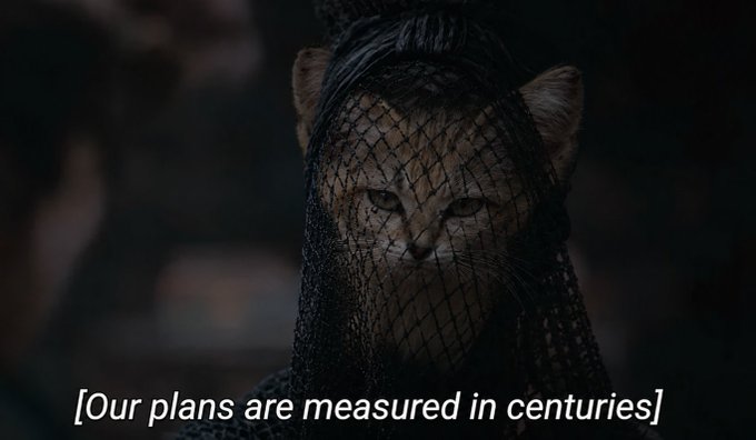 Dark cinematic shot of a cat's face wearing a black mesh veil, with subtitle text reading '[Our plans are measured in centuries]'.
