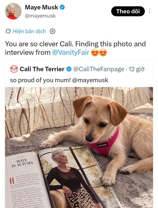 Tweet from Maye Musk (@mayemusk) replying to @CaliTheFanpage with a photo of a dog wearing a "Voyager" harness looking at a Vanity Fair magazine featuring Maye Musk on the page.