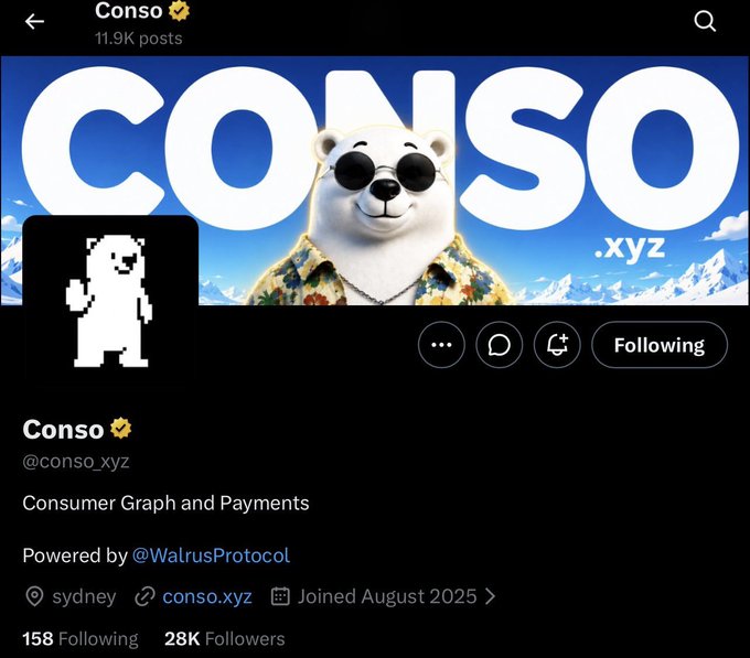 A social media profile page for 'Conso' (@conso_xyz) displaying a banner with a bear in sunglasses and a pixel bear profile picture, with the text 'Consumer Graph and Payments' and 'Powered by @WalrusProtocol', showing 11.9K posts and 28K followers.