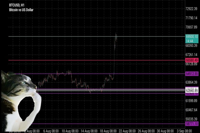 A BTCUSD H1 candlestick chart showing Bitcoin's price action with a cat in the bottom left corner waving its paw, overlaid on horizontal support and resistance levels.
