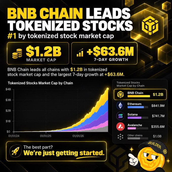 An infographic titled 'BNB CHAIN LEADS TOKENIZED STOCKS' showing BNB Chain at the top with $1.2B market cap and +$63.6M 7-day growth, followed by Ethereum ($841.9M), Solana ($741.7M), Avalanche ($355.6M), and Other chains ($1.0B).