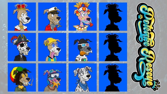A grid of colorful cartoon dog character avatars with various outfits and accessories, with "Doge Dash" written in stylized text on the right side.