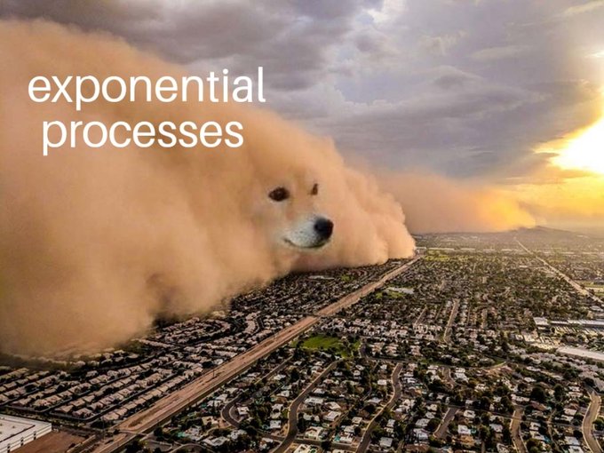 A humorous image showing a massive dust storm shaped like a dog's face moving over a city, labeled 'exponential processes'.