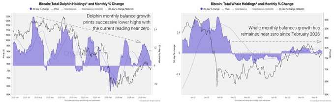 The image presents two line graphs placed side by side against a gray background. The graphs display information about Bitcoin's largest holders' balances over time, showing that these players have paused accumulation. This data indicates that the market's largest holders are no longer aggressively accumulating Bitcoins due to factors such as a change in Bitcoin prices or market conditions.