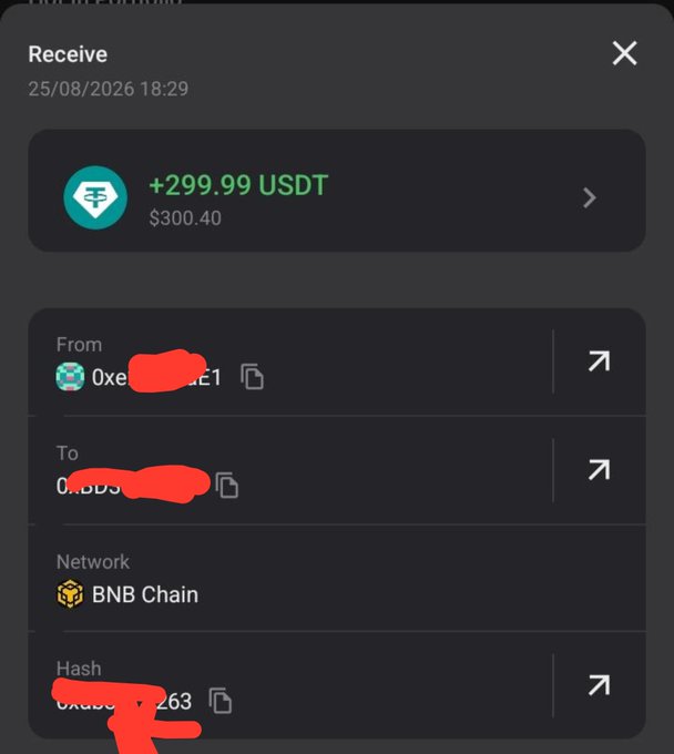 A screenshot of a cryptocurrency wallet transaction showing a 'Receive' of '+299.99 USDT' (worth $300.40) from an address starting with '0xe...' on the BNB Chain network, with some sender details obscured by red marks.