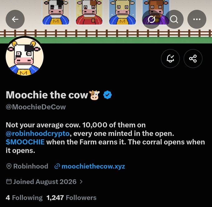 A screenshot of the verified “Moochie the cow” profile (@MoochieDeCow) displays 1,247 followers, notes a joined date of August 2026, and promotes a 10,000-cow collection linked to Robinhood and the ticker $MOOCHIE. The bio emphasizes that all cows are publicly minted, each has predetermined traits and rarity, and no supply is reserved for the team.