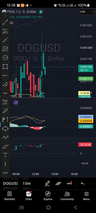 Trading app screenshot showing a DOG/USD candlestick chart on a 15-minute interval, with the price up 6.19% and a time of 13:38.