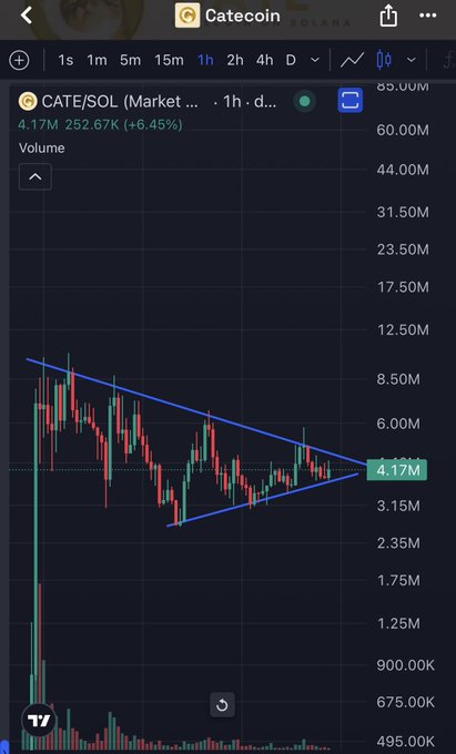 A TradingView chart displays CATE/SOL (Catecoin) on a 1-hour timeframe, currently priced at 4.17M with a 6.45% gain, showing a symmetrical triangle pattern with converging blue trendlines indicating a potential breakout setup. The volume indicator at the bottom highlights recent trading activity supporting the consolidation pattern.