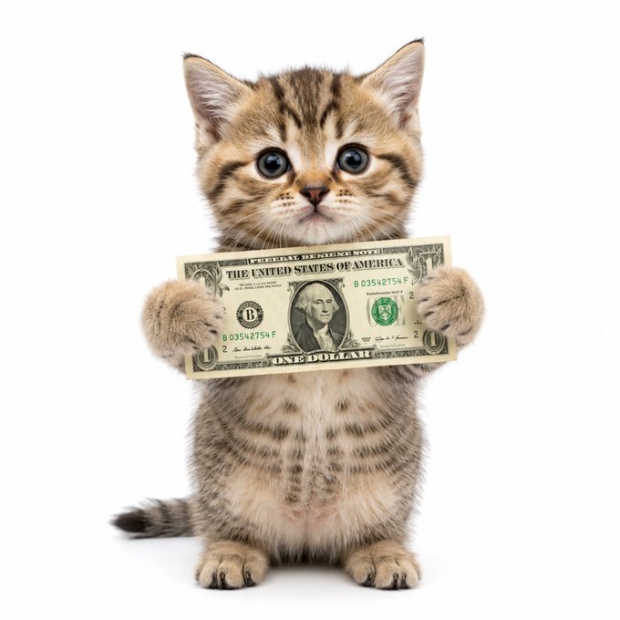 A tabby kitten standing upright while holding a US one-dollar bill in its paws against a white background.