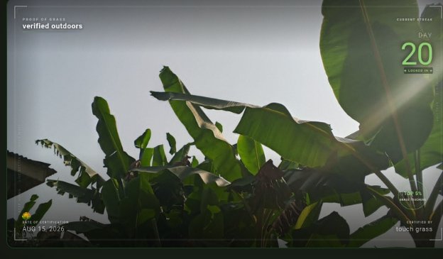 A view of banana leaves backlit by the sun is displayed within a stylized digital interface showing 'verified outdoors', 'DAY 20', and 'AUG 15, 2026'.