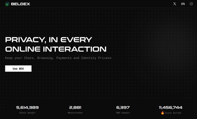 A screenshot of the Beldex website with the headline "PRIVACY, IN EVERY ONLINE INTERACTION" and stats showing 5,614,389 block height, 2,881 masternodes, 6,397 BNS domains, and 11,456,744 coins burned. The image supports the post's point about Beldex building a broader privacy ecosystem (BChat, BelNet, Beldex Browser, BNS) beyond just being a privacy coin.