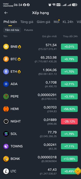 A Vietnamese-language cryptocurrency ranking app screen titled 'Xếp hạng' showing prices and 24-hour changes for coins including BNB (+0.01%), BTC (+0.79%), ETH (+1.70%), ADA (+2.71%), PEPE (+3.19%), HEMI (+56.92%), NIGHT (-29.12%), SOL (+1.79%), TOWNS (+7.11%), BONK (+13.98%), and LTC (+0.49%).