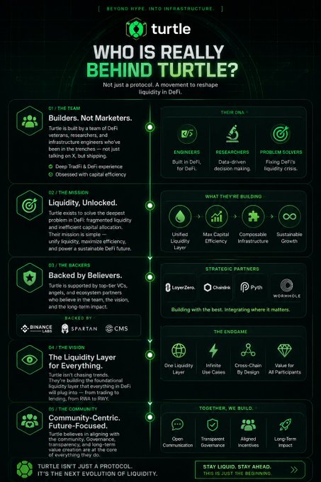 An infographic titled 'WHO IS REALLY BEHIND TURTLE?' outlines the project's DeFi mission, featuring sections on Builders, Liquidity, Backers, Vision, and Community-Centric values, backed by Binance Labs and Spartan.