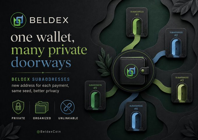 An advertisement for BELDEX cryptocurrency featuring the text 'one wallet, many private doorways' alongside visual representations of five sub-addresses leading from a central wallet.