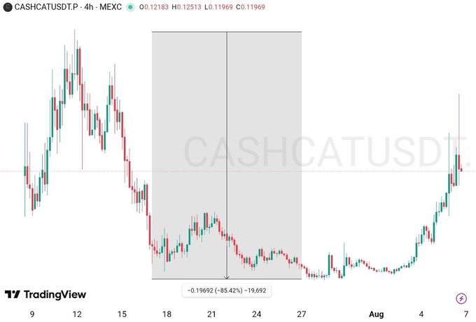 A TradingView candlestick chart for CASHCATUSDT.P on MEXC, showing a price of 0.12183 with a highlighted -85.42% drop (-0.19692) between July 17-27, with the price recovering to around 0.11969 by August 7.