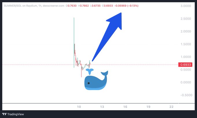 A TradingView chart for 'SUMMER/SOL on Raydium, 1h' shows a price around 0.6933, featuring a blue cartoon whale spouting water and a large blue arrow pointing upward.