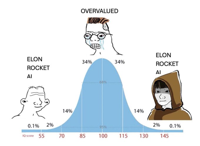 The image features a graph with three lines, each representing a different person's face. The first line represents an elon rocket, the second line represents an elon rocket, and the third line represents an elon ai. Each of these lines has a different color, indicating that they are from different sources or have different characteristics. The graph also includes text that says "overvalued" on each line, suggesting that these individuals might be perceived as overrated by some people.