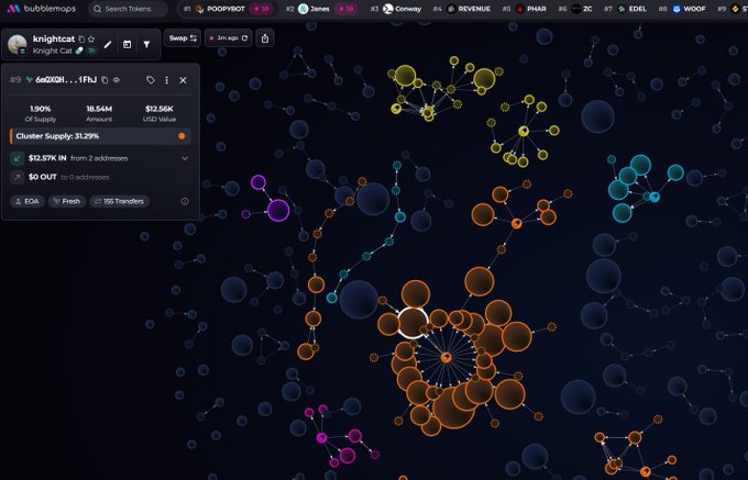 A screenshot of the bubblemaps cryptocurrency analytics platform showing a cluster map with token 'knightcat' (0x2030...1FF1) having $12.36K USD Value, $0 OUT to 0 addresses, and 100% Of Supply held in one cluster.