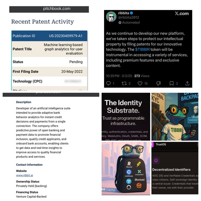 A screenshot of a website called pitchbook.com, which contains various pieces of information about an invention that was recently patented for the US Patent Office. The screen displays an illustration of a cartoon character named Idenity Subrata, along with several photos and articles discussing the patent and its implications in detail. The posts feature relevant hashtags such as "#Alpha", "#TibbiR", and "@IBR".