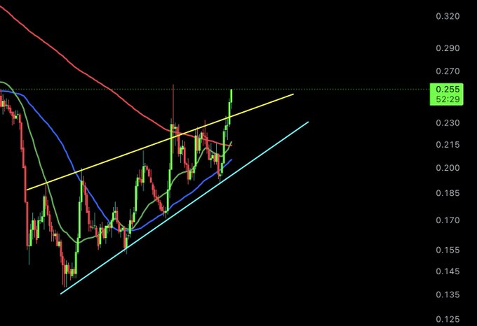 A crypto price chart shows ADA surging upward to a current value of $0.255 (52.29% higher), breaking out from a descending channel with the price action pushing above key resistance levels amid multiple bullish green candles. The chart visually supports the post's sentiment, capturing the "pumping" momentum of ADA that the trader happily woke up to see.