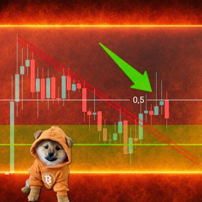 A Shiba Inu dog wearing an orange hoodie with a Bitcoin logo stands in front of a red candlestick chart with a green arrow pointing down to a value of 0.5.
