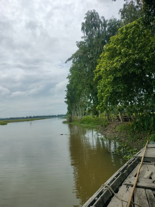 A wooden boat drifts along a calm river lined with tall green trees under a cloudy sky, evoking a sense of quiet steady progress.

The image mirrors the post's theme: just as a boat moves forward by consistent, meaningful effort against the current, NucleusCodes rewards sustained contribution and reputation (AURA) rather than mere attention.