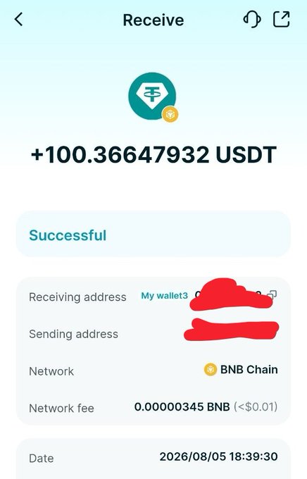 A mobile screenshot of a crypto wallet showing a successful receive transaction of +100.36647932 USDT via BNB Chain network, with addresses partially redacted.