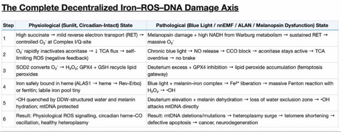 An educational diagram titled 'The Complete Decentralized Iron-ROS-DNA Damage Axis,' comparing physiological and pathological states across six numbered steps involving melanin, ROS, and cellular damage.