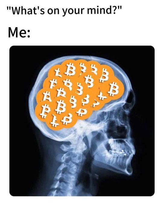 A meme with an X-ray image of a skull and brain filled with Bitcoin symbols, captioned 'What's on your mind? Me:' to humorously depict someone constantly thinking about cryptocurrency.