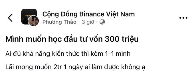 A Vietnamese Facebook post from 'Cộng Đồng Binance Việt Nam' by Phương Thảo asking for investment tutoring with 300 million capital, seeking 2% daily returns.
