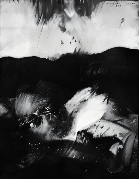 An abstract black and white image featuring dark swirling patterns and bright highlights with a glossy, painted texture.