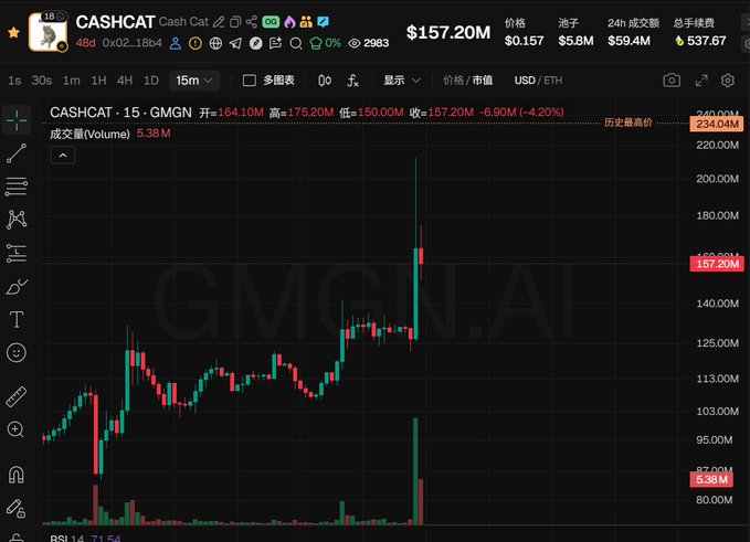 A GMGN.AI trading chart for CASHCAT on a 15-minute timeframe showing a market cap of $157.20M, price of $0.157, with significant recent volatility and high volume of 5.38M.