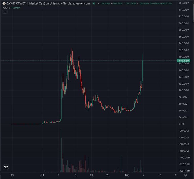 A financial candlestick chart from dexscreener.com displays the CASHCAT/WETH trading pair, showing a price of approximately $198.98M with a +46.57% gain.