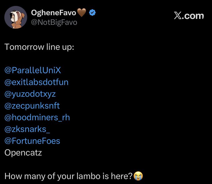 A tweet screenshot from OgheneFavo (@NotBigFavo) listing 'Tomorrow line up:' of Twitter/X accounts including @ParallelUniX, @exitlabsdotfun, @yuzodotxyz, @zecpunksnft, @hoodminers_rh, @zksnarks_, @FortuneFoes, and Opencatz, ending with 'How many of your lambo is here? 😭'