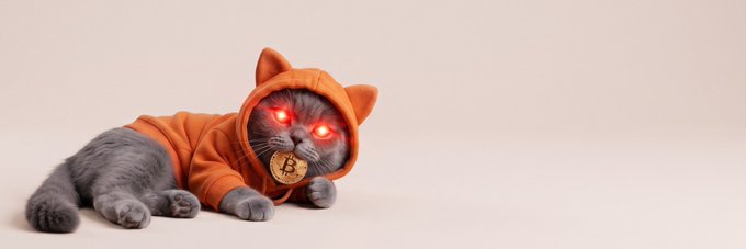 A gray cat wearing an orange cat-eared hoodie lies on a cream background, with glowing red eyes and a gold Bitcoin coin hanging around its neck. The image ties into the Solana token $CATOSHI, blending "cat" and "Satoshi" themes with Bitcoin imagery to represent the meme token.