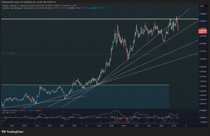 A TradingView chart of VeChain/USDT (VETUSDT) on Binance, 5-minute timeframe, dated Sep 08, 2024, showing a strong uptrend with multiple ascending trendlines, key resistance at 0.008155 and support around 0.007700.