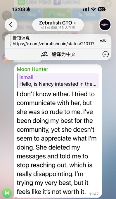 A Telegram chat screenshot from "Moon Hunter" in the "Zebrafish CTO" group shows a message from "ismail" complaining about being blocked and ignored by someone named Nancy, despite his efforts for the community.
